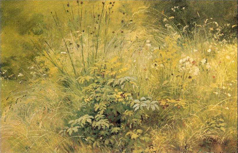 Ivan Shishkin Herbage